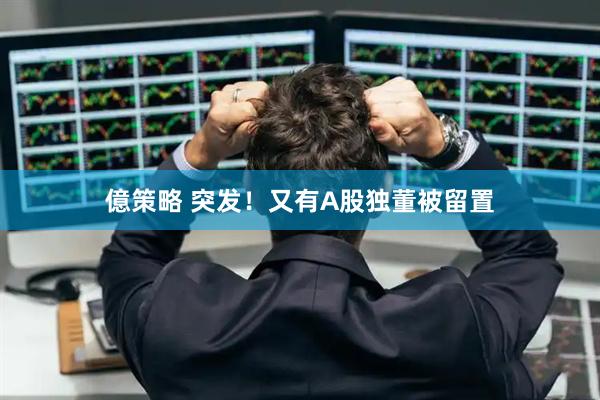 億策略 突发！又有A股独董被留置