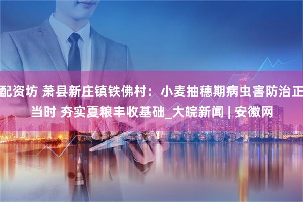 配资坊 萧县新庄镇铁佛村：小麦抽穗期病虫害防治正当时 夯实夏粮丰收基础_大皖新闻 | 安徽网