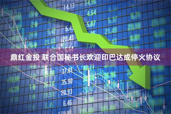 鼎红金投 联合国秘书长欢迎印巴达成停火协议