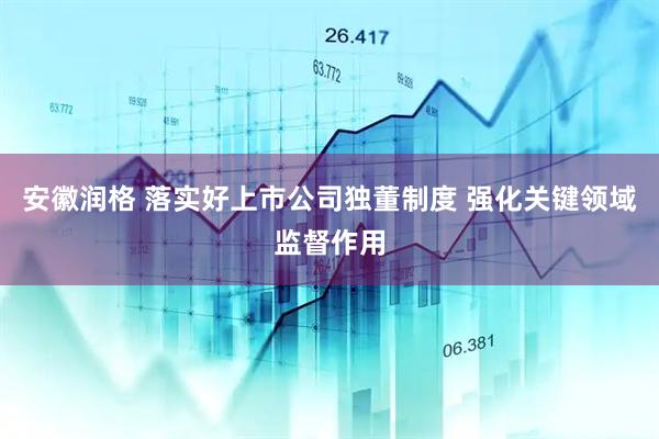 安徽润格 落实好上市公司独董制度 强化关键领域监督作用
