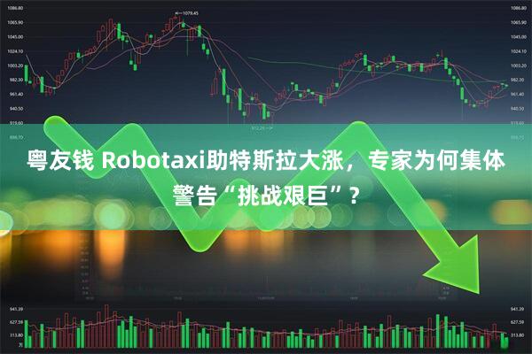 粤友钱 Robotaxi助特斯拉大涨，专家为何集体警告“挑战艰巨”？