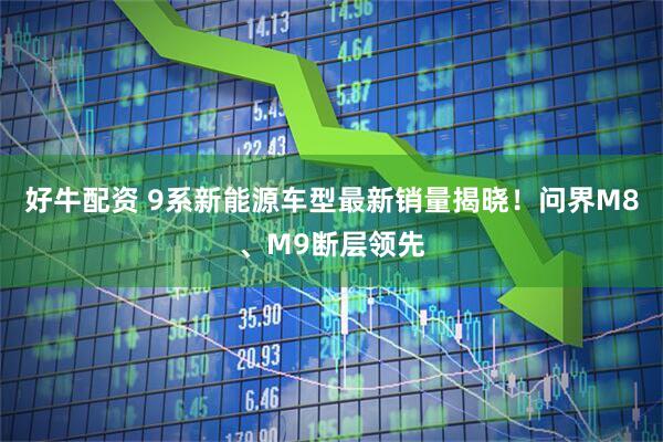 好牛配资 9系新能源车型最新销量揭晓！问界M8、M9断层领先
