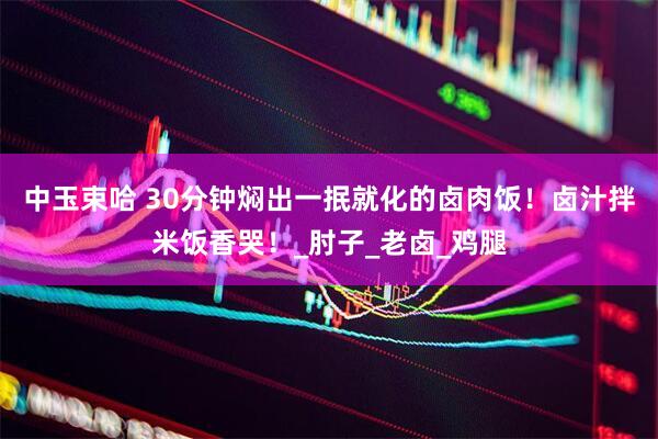 中玉束哈 30分钟焖出一抿就化的卤肉饭！卤汁拌米饭香哭！_肘子_老卤_鸡腿
