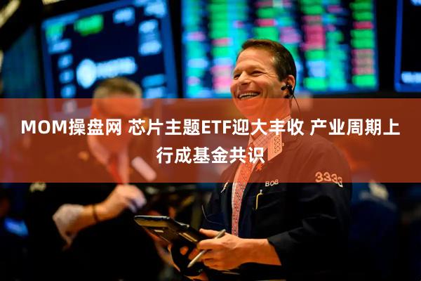 MOM操盘网 芯片主题ETF迎大丰收 产业周期上行成基金共识