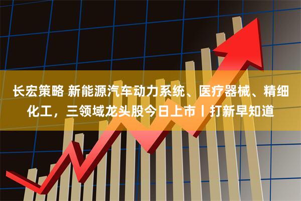 长宏策略 新能源汽车动力系统、医疗器械、精细化工，三领域龙头股今日上市丨打新早知道