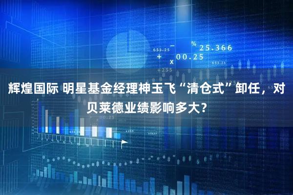 辉煌国际 明星基金经理神玉飞“清仓式”卸任，对贝莱德业绩影响多大？
