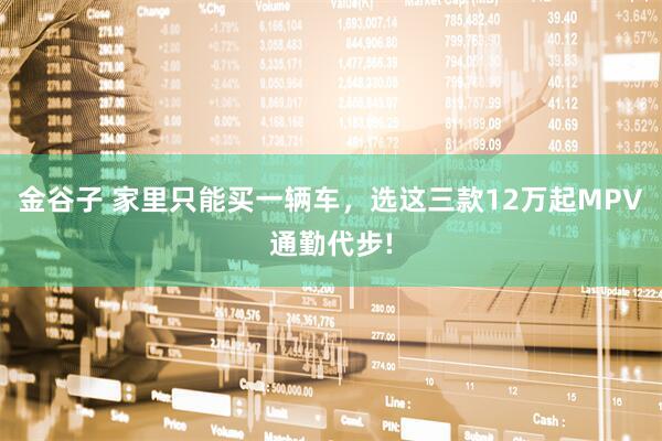 金谷子 家里只能买一辆车，选这三款12万起MPV通勤代步!